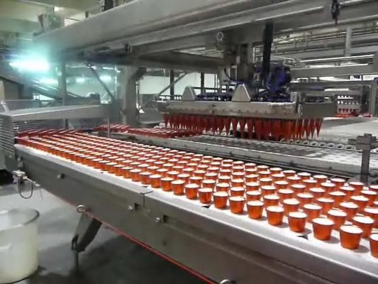 중국 완전히 자동적인 아이스크림 콘 생산 라인 포장 컨베이어 장비 협력 업체