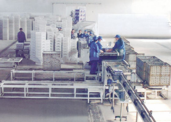 중국 병/깡통/컵을 위한 자동화된 포장 기계 선을 내리는 바구니 협력 업체