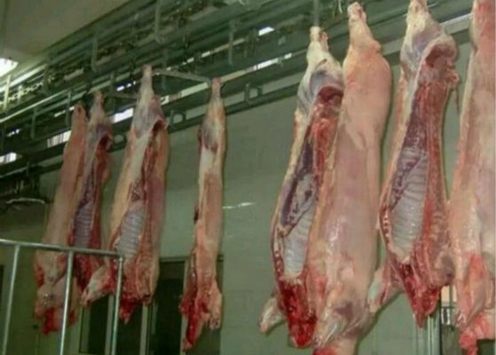 중국 돼지 쪼개지는 가금류 육류품 선 도살장 장비 PLC 통제 시스템  협력 업체