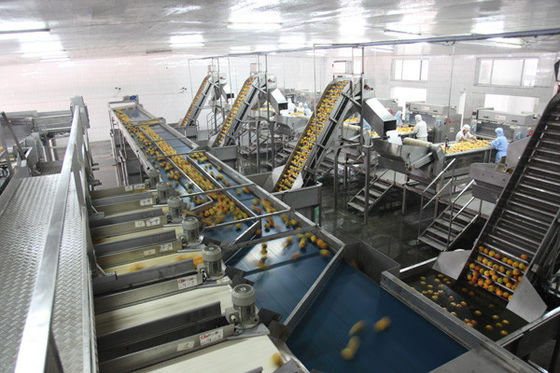 중국 시간 고속 당 음식 양철 깡통 생산 라인 완전히 반 자동적인 100-300의 깡통 협력 업체