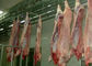 돼지 쪼개지는 가금류 육류품 선 도살장 장비 PLC 통제 시스템  협력 업체