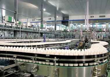 중국 기계를 만드는 병 음료를 귀여워해 젖을 짜기 위하여 호두 땅콩/옥수수 주스를 생성하 협력 업체