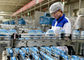 젖산균 낙농장 생산 라인 요구르트 제조 설비/기계 협력 업체
