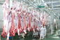 쇠고기 쪼개지는 육류품 선/100-300 시간 당 공정 라인 가축은 속력을 냅니다 협력 업체