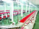 돼지 쪼개지는 가금류 육류품 선 도살장 장비 PLC 통제 시스템  협력 업체