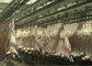 산양 양고기 전체적인 가공 유형을 전하는 쪼개지는 육류품 선 도살 협력 업체